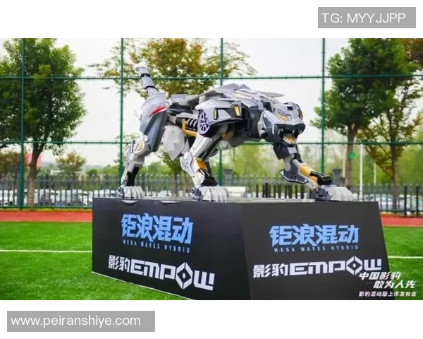 武汉足球队转型之路的挑战与机遇深度解析与未来展望 武汉足球队转型之路的挑战与机遇深度解析与未来展望