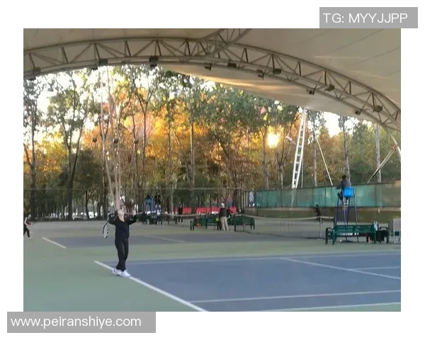 西安网球队在邀请赛中的战术运用与表现分析 西安网球队在邀请赛中的战术运用与表现分析