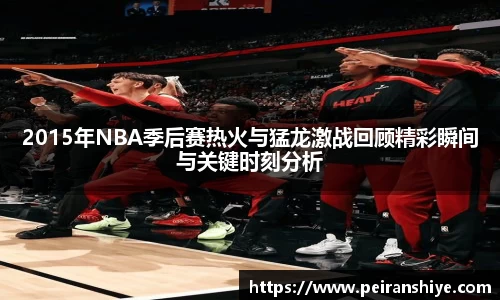 2015年NBA季后赛热火与猛龙激战回顾精彩瞬间与关键时刻分析