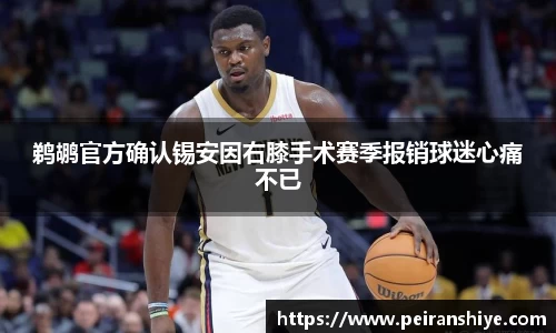 龙8国际