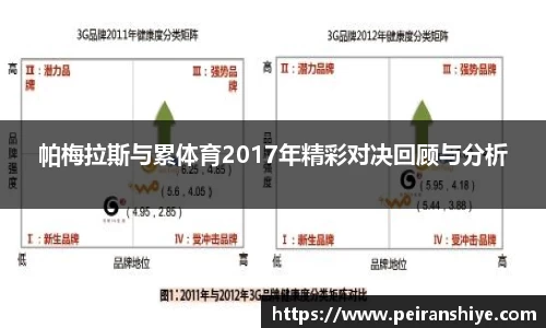 帕梅拉斯与累体育2017年精彩对决回顾与分析
