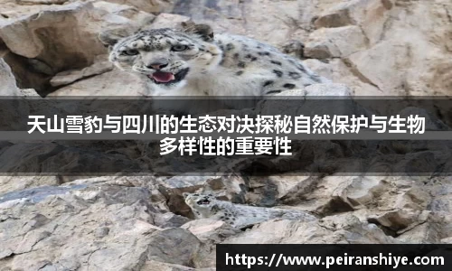 龙8官网long8